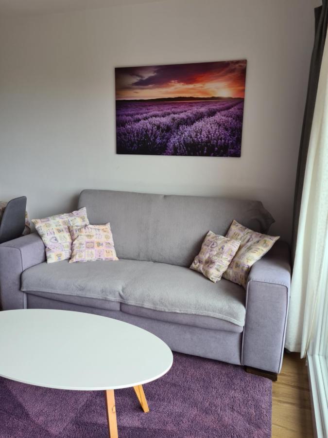 Apartman Luka Novigrad Istria Εξωτερικό φωτογραφία